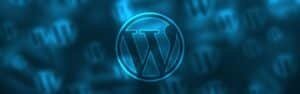 Digital Solutions Network Wordpress